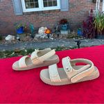 A New Day Tilly Raffia Platform Footbed Sandals - Tan size 11 Photo 3