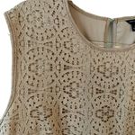 Ann Taylor  Lace Sleeveless Top in Beige Photo 7