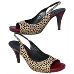 Donald Pliner Red Gator Leather Shoe New Chita Hair Calf Slingback $295 NIB Black Size 6 Photo 1