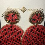 Jane Marie Watermelon Seed Bead Boho Beaded Statement Pierced Earrings Photo 3