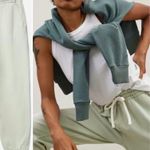 Everlane NWOT  organic cotton green joggers sweatpants small Photo 2