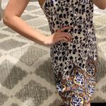 Peppermint Patterned Dress Photo 0