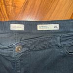 J.Jill denim women’s boyfriend straight ankle pant dark blue/blackish size 20r Photo 2