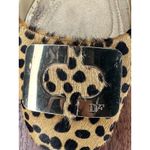 Diane Von Furstenburg Bonnie Calfhair Pumps w/ Gold Buckle Size 6.5 EUC!! Photo 1