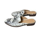 Madden Girl Mattie Snake Print Mules Size 7.5M Womens Shoes Slip On Casual Work Photo 2