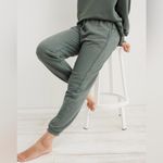 Aerie  the Chill Jogger Royal Palm Green Medium Photo 1