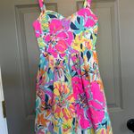 Lilly Pulitzer Fit And Flare Sundress Photo 8