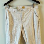 Anthropologie Pilcro and the Letterpress Blush Striped Cropped Pant Size 30 Photo 5