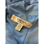 Everlane Ever New Melbourne Women’s 4 Madison Pleated Plisse Blue Sparkle Mini Dress Photo 6