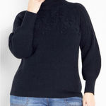 Avenue  Women's Plus Size 18 Blue Turtleneck Pom Pom Sweater Pullover Fall Winter Photo 0