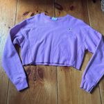 Champion Cropped Hoodie Photo 0