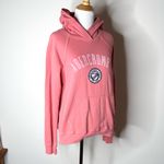 Abercrombie & Fitch Abercrombie Pink Logo Hoodie Photo 2