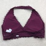 Gilly Hicks : Plum Lace Halter Bra Photo 1
