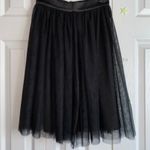 Forever 21  Tulle Skirt Photo 0