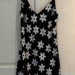 Glassons dress nwt Photo 0
