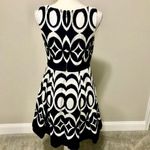 The Limited  A line Pleated Drop Waist Dress With Pockets Photo 1