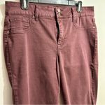 Maurice's  Women's Dark Burgundy Straight Leg Jeans (100) Photo 1