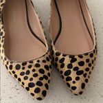 Loeffler Randall  Milla Pointe Toe Cheetah Tan and Black Flats, Size 7.5 Photo 1