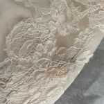 Maggie Sotero Ivory Lace Overlay Wedding Dress Cap Sleeve V Photo 12