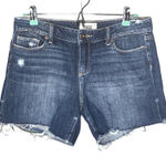 Paige Jimmy Jimmy jean shorts distressed Size 28 Photo 0