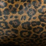 Divina Firenze | Chocolate Brown Cheetah Print Tote Bag Photo 2