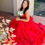 Sherri Hill  Prom Dress Red Photo 0