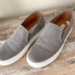 Steve Madden Gray Sneakers Photo 0