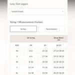 Free People #47 NWT  Jump Start Joggers in Scarlett Photo 5