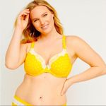 Cacique ‎ Yellow Gold Polka Dot Lightly Lined T-shirt Bra Size  Size 42D #113 Photo 0