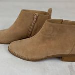 Abusa Abyss Suede Ankle Boots  Photo 4