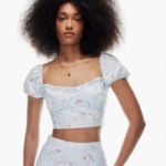 Wilfred Aritzia Linen Floral Puff Sleeve Crop Top Blue Pink XL Photo 0