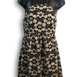 Urban Outfitters  Black Beige Floral Lace Knit Sleeveless Mini Dress Photo 0