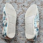 Toms X Disney Classic Printed Cinderella Canvas Shoe Blue 7 Photo 5