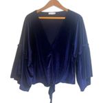 Lavender Field Velvet Vneck Statement Sleeve Blouse Tie Waist Size Medium VTG Photo 0