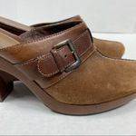 Cole Haan Brown Suede and Leather Buckle Clogs Photo 2
