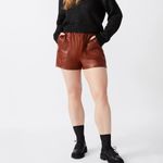 BB Dakota Steve Madden High Waist Tan Leather Shorts Photo 6