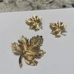 Signed Avon Matching Jewelry Set Gold Tone Brooch & Clip On Earrings Photo 0