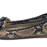 Jack Rogers  Square Toe Buckle Ballet Flats Embossed Leather Snake Print Size 8 Photo 4