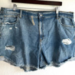 Aerie NEW Womens Shorts Denim Distressed Frayed Hem Casual Size XXL Photo 0