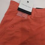 Calvin Klein Womens Porcelain Rose Linen Beach Summer Shorts Size 10 Photo 6