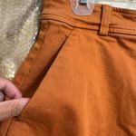 Everlane Burnt Rust Orange Cotton The Way Twill High Rise Shorts Size 4 Photo 5