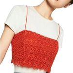 ZARA Lace Bralette Ted Orange Cropped Crochet Bandeau Tank Crop Top New with Tag Photo 4