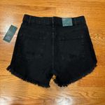 Wild Fable  Shorts Photo 2