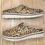 Cliffs by White Mountain Homey Leopard Print Buckle Detail Faux Fur Lined Mules Brown Size 7 Photo 5