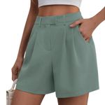 NWT Sage Green Tailored High Waist Wide Leg Shorts with Pockets Photo 1