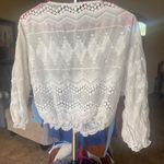 Forever 21 Mesh See Through Crop Top With Floral Details Photo 4