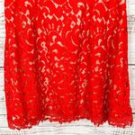 Francesca's Francesca’s Red Lace Halter Neck Sleeveless Cocktail Mini Party Dress, EUC, Med Photo 4