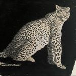 GYPSY WINGS Tote Bag Travel Black Velvety Soft Fabric Leopard Picture Handmade Photo 6