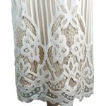 Boohoo Occasion Dress 6 White All Over Lace Bodycon Midi New Photo 6