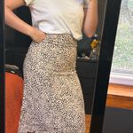 Brandy Melville  Midi Skirt Photo 1